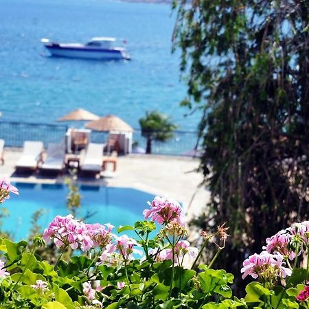 Omar Hotel Torba Buitenkant foto