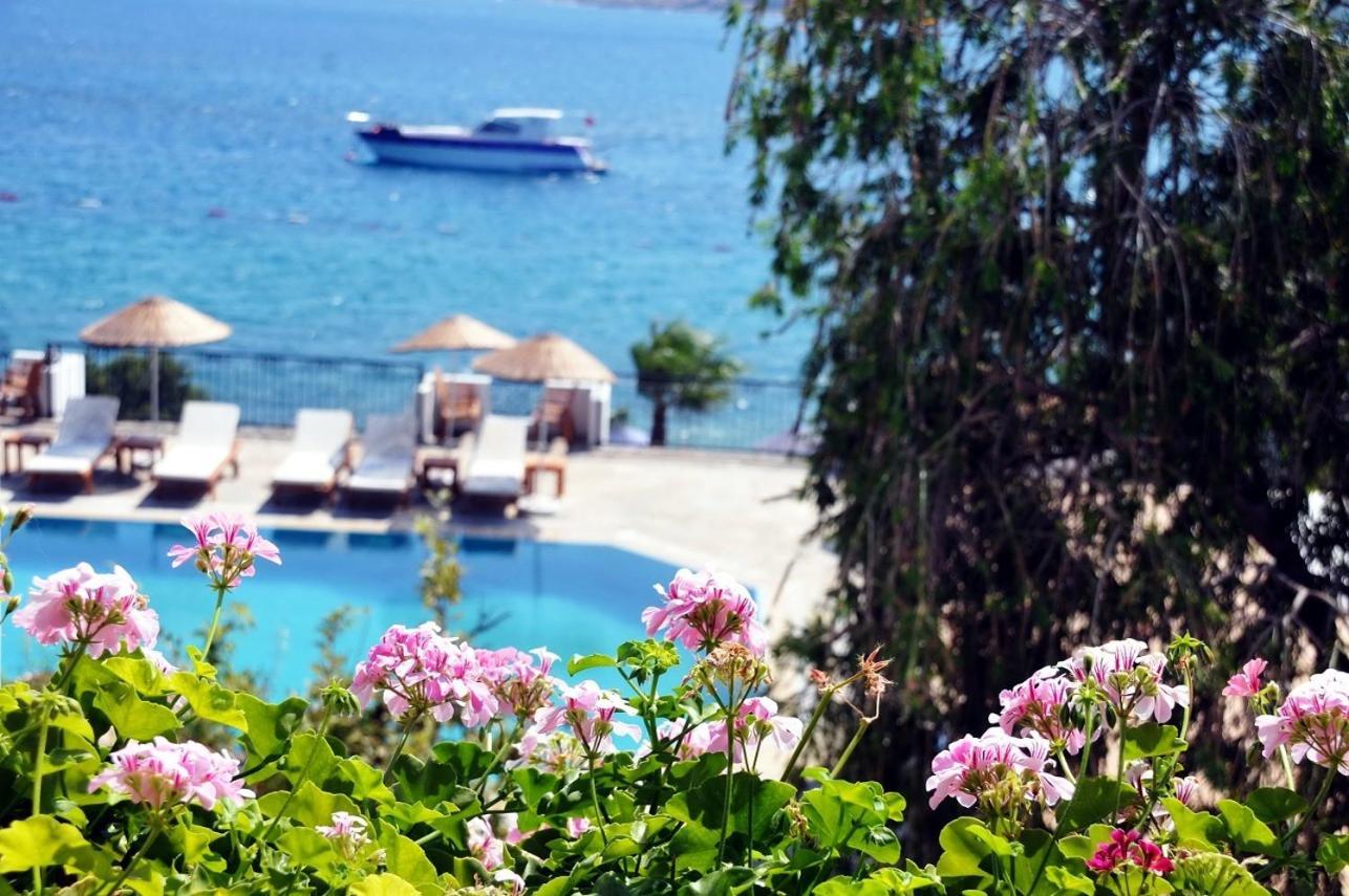 Omar Hotel Torba Buitenkant foto