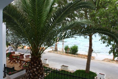 Omar Hotel Torba Buitenkant foto